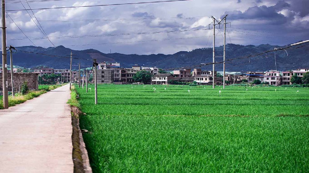 肇庆市内蒙古乡村沃畉农业服务购入…